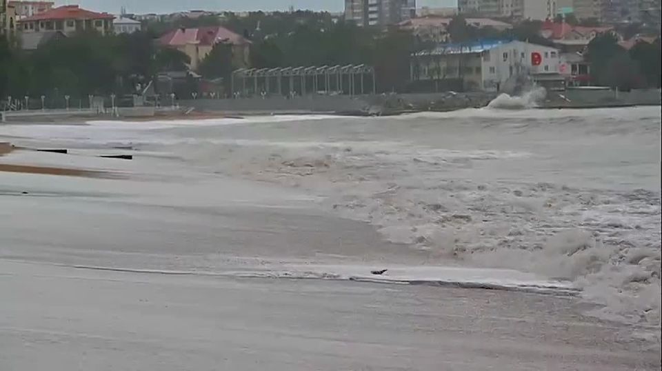 ������� ����������: � ��������� ��� ��������� ��������� �������� ������� �� ���������� �������������� ����, � ��������� � � ����������