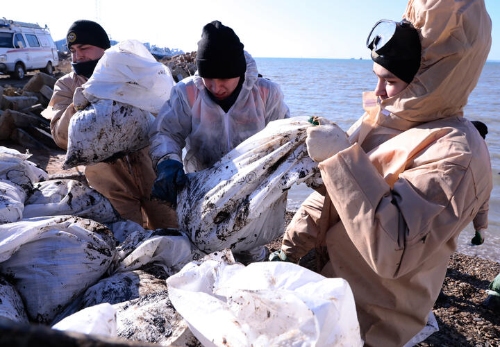 Десятки птиц в мазуте и пальмовом масле обнаружили на побережье Анапы
