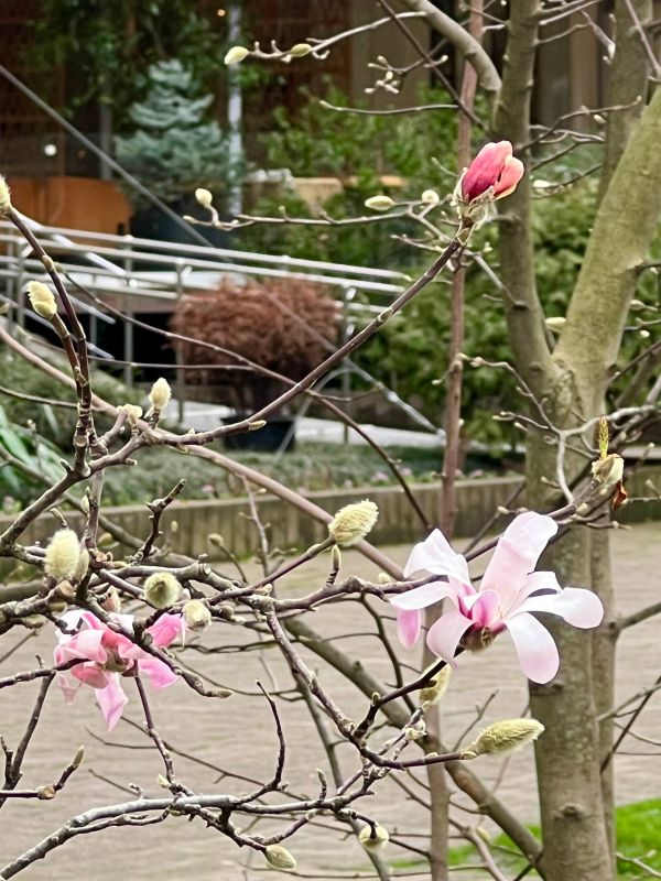 ������� � ���� � ��� ����� �������� � ������, � ����� ���� ����� ���������, ��� ��� ������