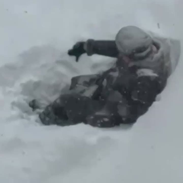 ���������� �������� � ���� �� ���� �������� ������� ����� �� ��������