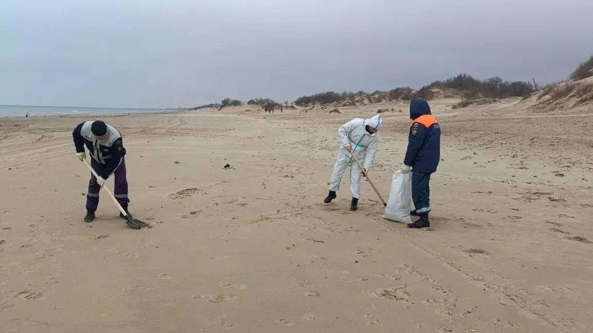 На Кубани шторм выбросил на побережье мазут