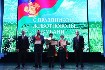 � ���������� ���������� ������ ������������ ������