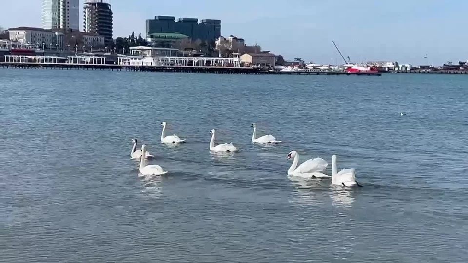 � ��� �� ����������� ����� ����� ������� �����, ���� ���� � ����, � ������