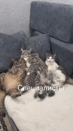 Но сегодня воскресенье, поэтому этот сценарий не прошел