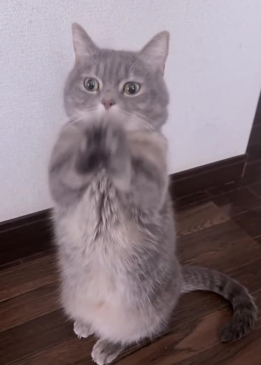 Прощеное воскресенье почти прошло! Самое время подвести итоги голосования