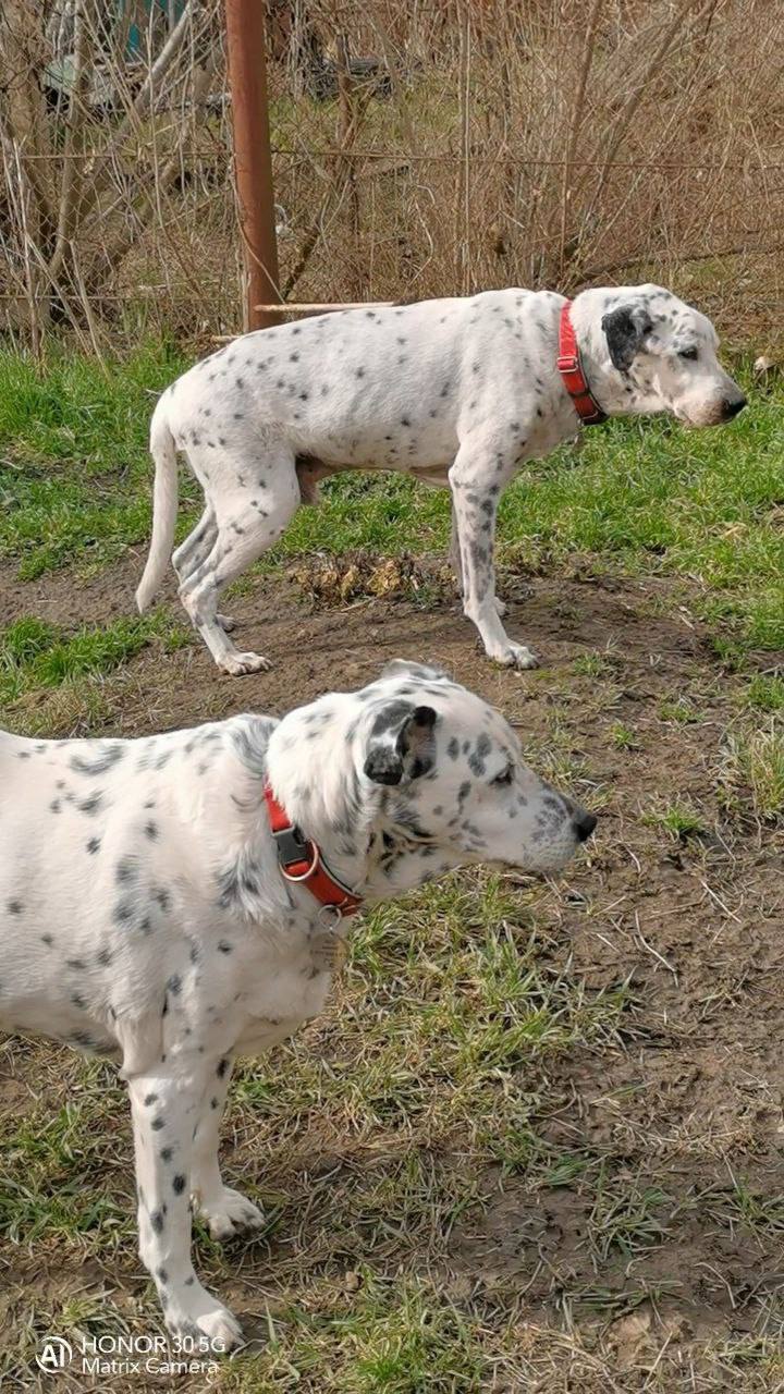 О погоде на 22 февраля . В Краснодарском крае облачно с прояснениями