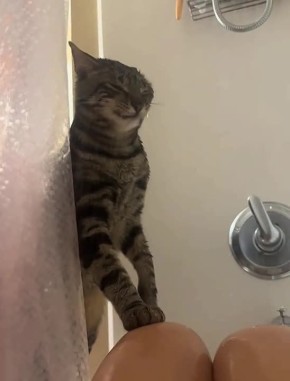 Тёпленькая пошла. Мы в MAX