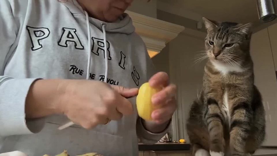 � �������� ����������� ���, ������� ����� ����� ��������