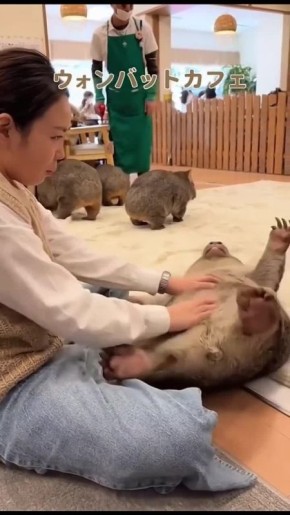 ����� �������� ������� �� ������