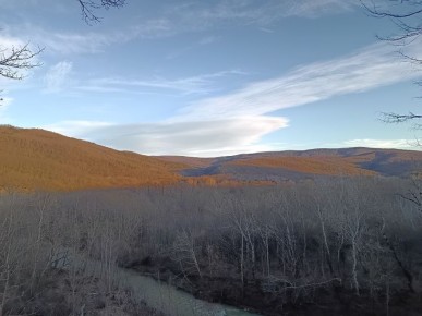 ��������� � ��������� ��� ���� ������