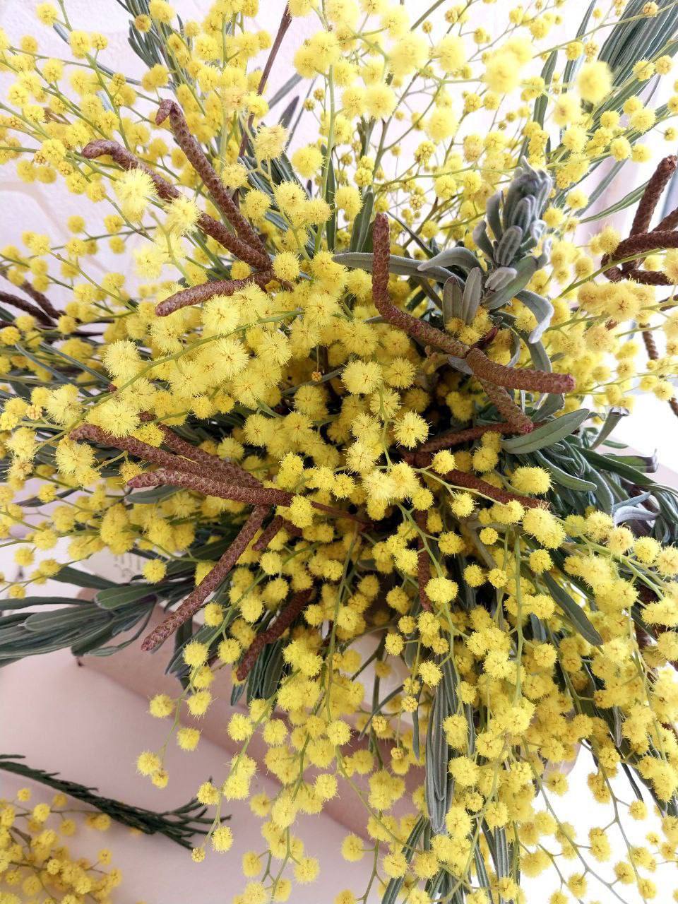 О погоде на 24 февраля . В Краснодарском крае облачно с прояснениями