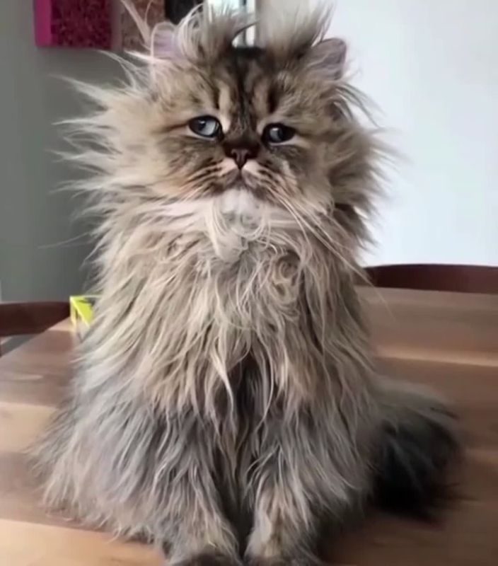 ��������� ������� ����� ����������� ��������