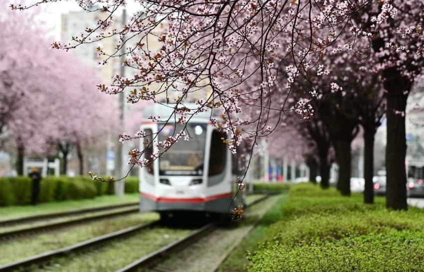 И снова короткая рабочая неделя