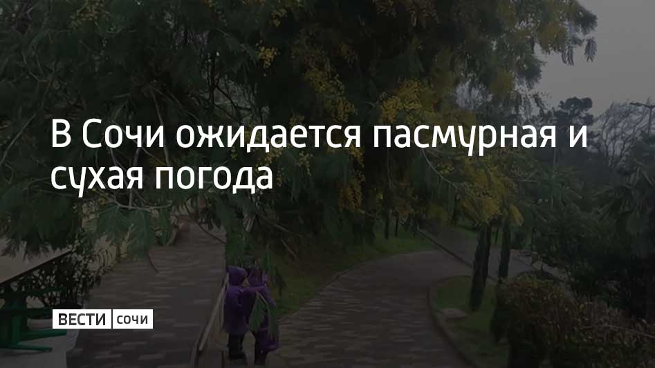 В Сочи на этой неделе преимущественно будет пасмурно