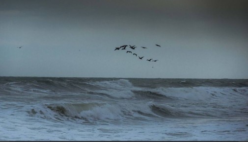 ��������! ��������� ��������� �������� �������: ����� � ��������� � ������ � �������� �������� �����