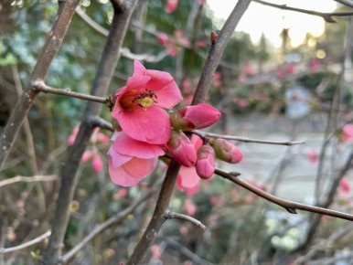 ������ ����, ������� ������� � ����� ������!