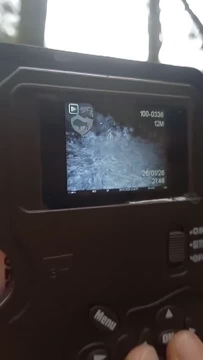 ���� ������� ����� �� ������ � ����� ���� �����