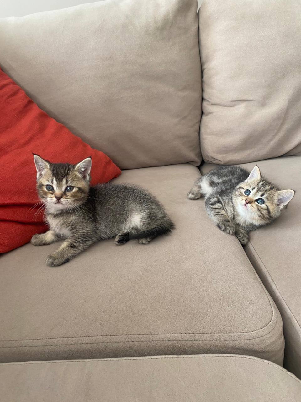 Доброе утро, Кубань!. Краснодар +10 °С