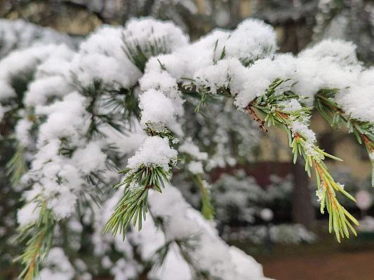 Ночью в предгорьях Сочи ожидается гололед и мокрый снег