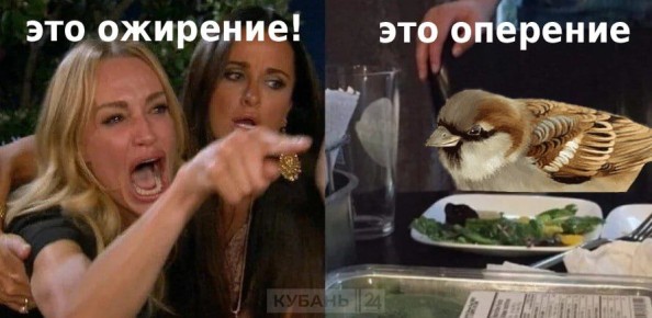 Воробьи в России не страдают ожирением из-за фастфуда