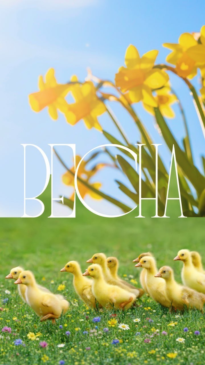 Чувствуете? Воздух становится другим!