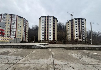 ����� ������ �������� �� ����������