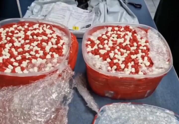 Бизнес на красно-белых таблетках и закладки по всему городу: в Новороссийске разоблачили девичье ОПГ