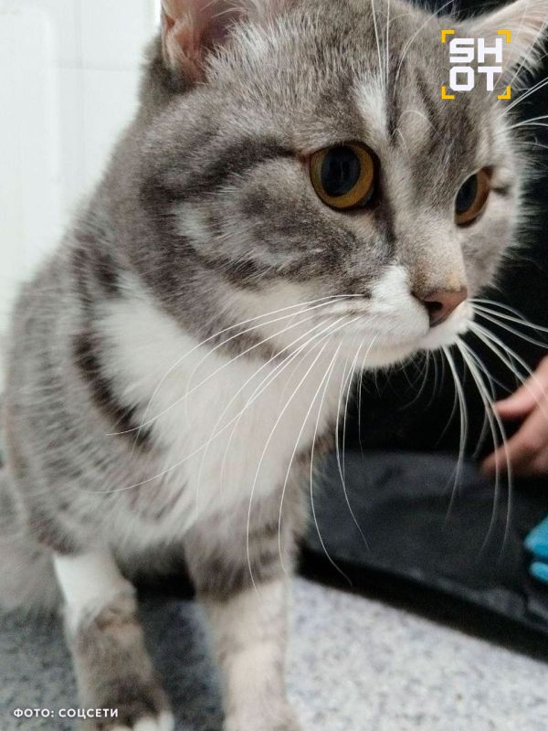 � ��������� ������� ��������� �������� ���������: ����������� ������ �������� ����, �� �� ��������, ��� �� ��� ��������� � �������� � �����