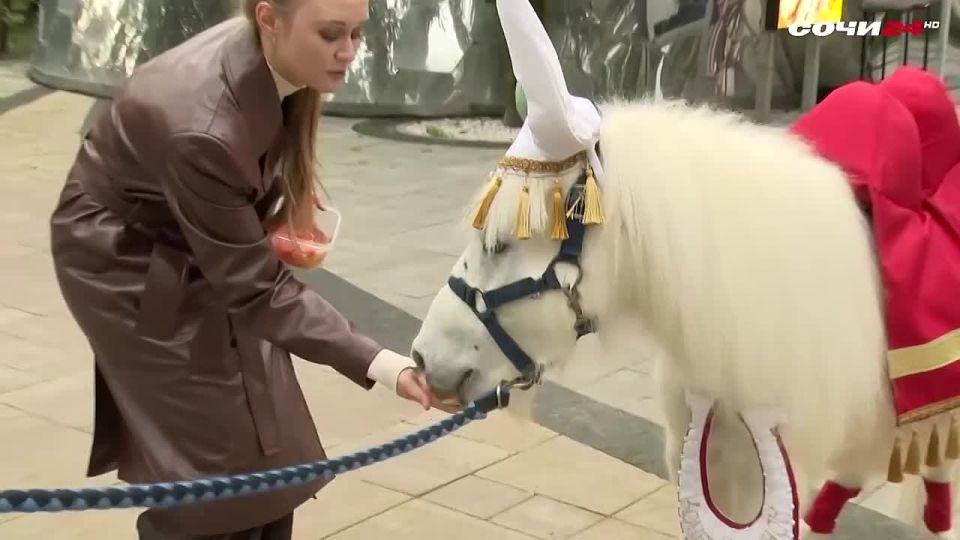 ������ �������� ���� ����������� 18 ���!