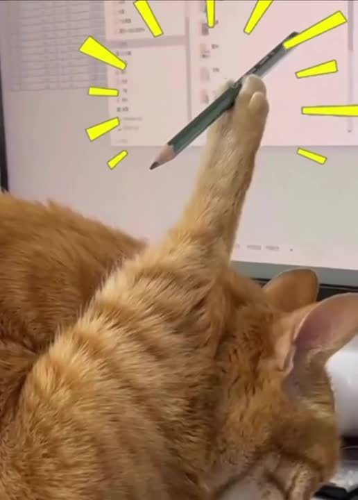 Работаем изо всех сил. Мы в MAX