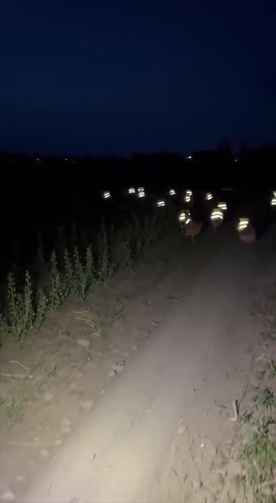 �� ������ ����� � ��������������� �������? ������ ������