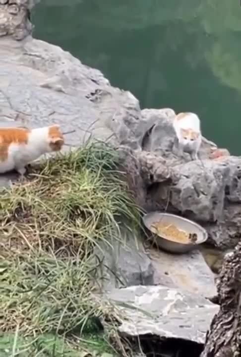 ���������� ����������. �� � MAX