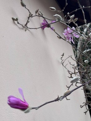 ���� ���������� ������� � ����� ������