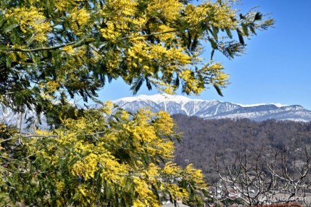 ������� ������, ��� �������� ������ �� �������� ���� ����� �������