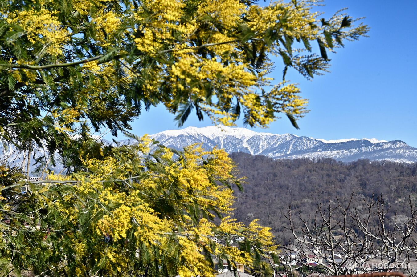 Названы города, где россияне хотели бы остаться жить после отпуска