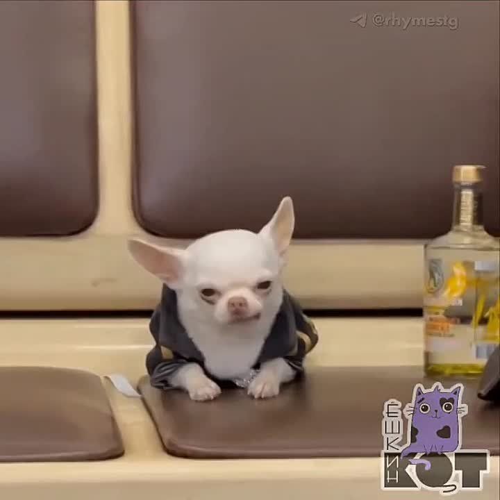 ���������: � ������� ���� �� ������