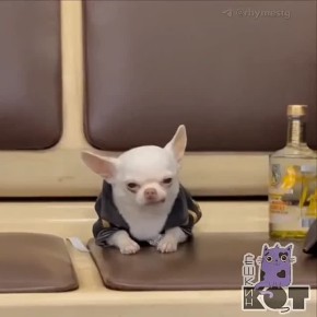 Состояние: в пятницу едем на работу