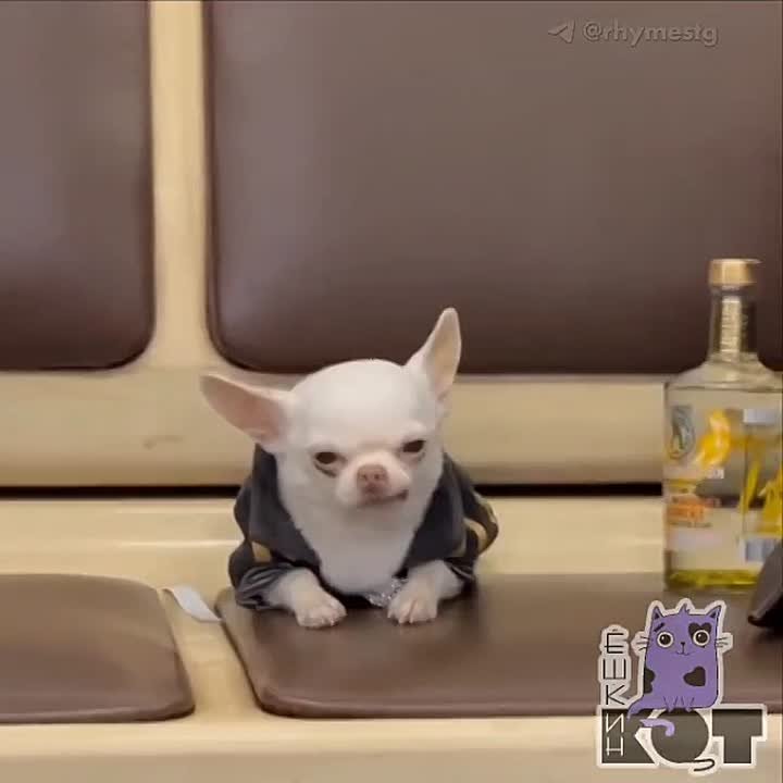 Состояние: в пятницу едем на работу