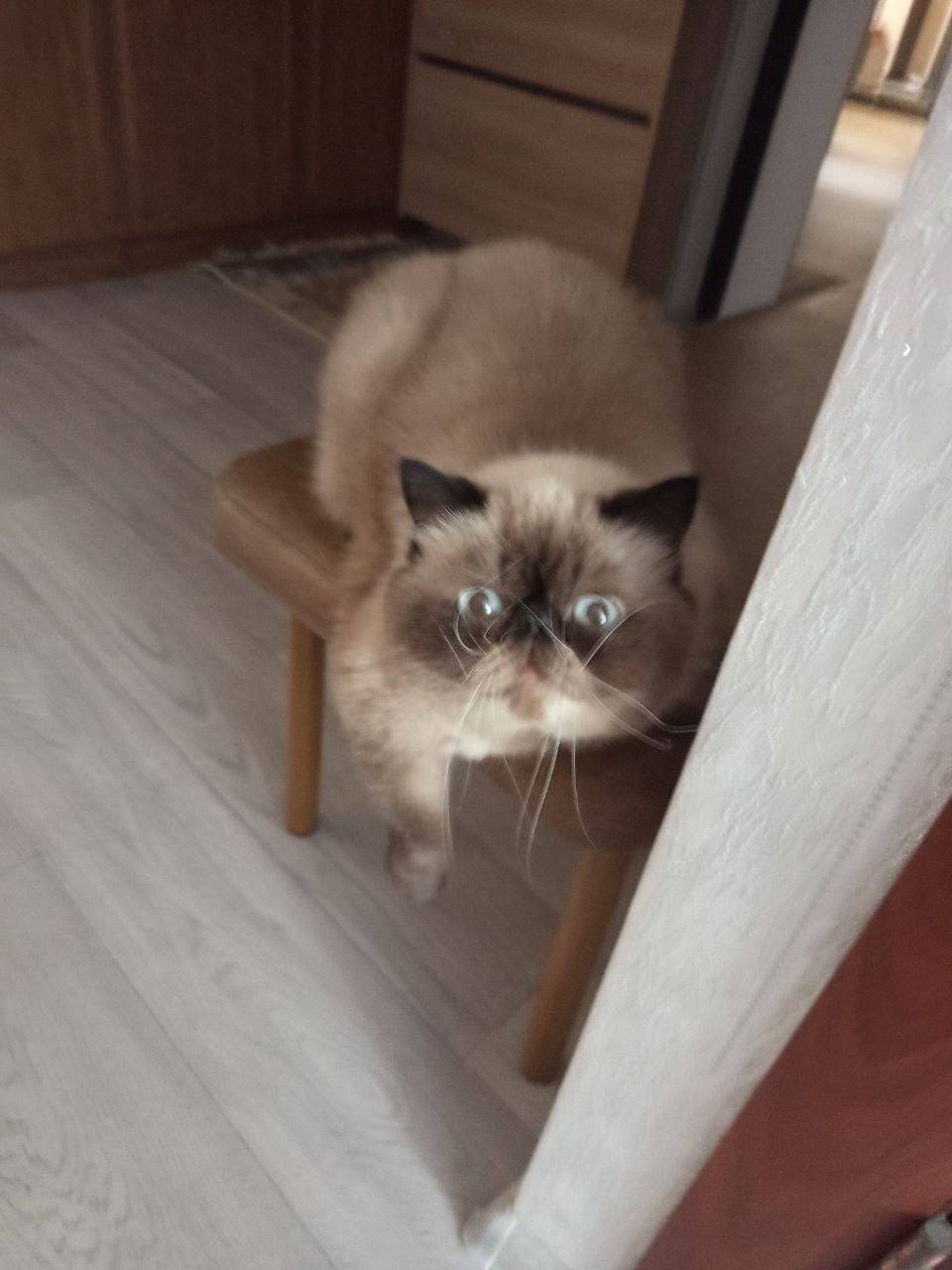 Доброе утро, Кубань!. Краснодар +5 °С