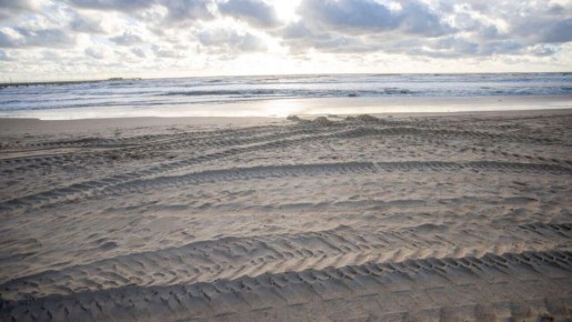 ������ ������ ������ ��������� 8 ������ ����� �� ���� ��