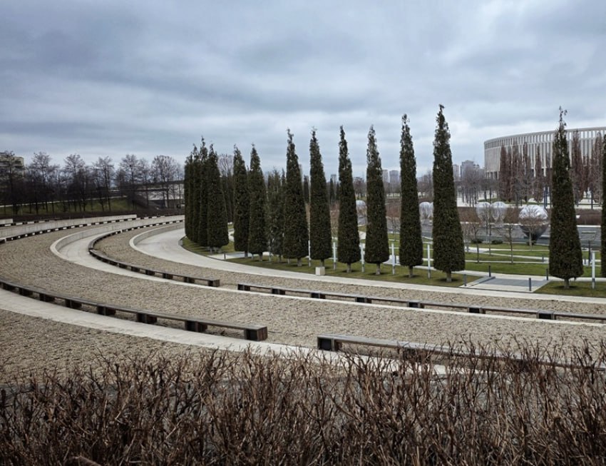 В парке Галицкого убрали электрический шалфей, чтобы высадить живые растения