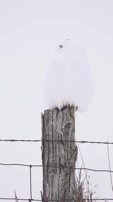 �� ������ ���� �� �����? � ��� ��� ����