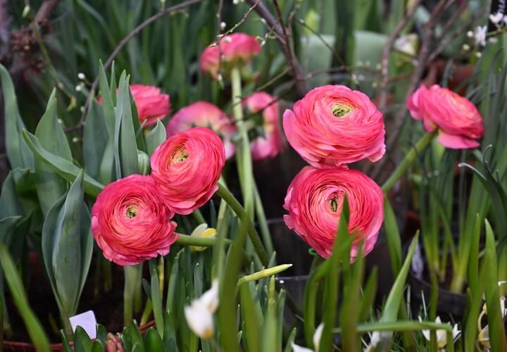 ���� ������: ������� ���������� ������ ������� ��� �� ����� � ���������� 8 �����