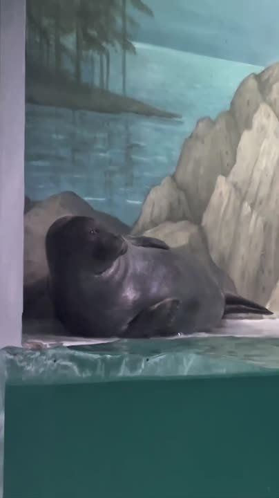 Тот случай, когда в выходной собираешься силами заняться домашними делами