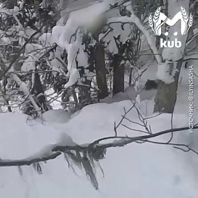 ������������ ������� �� ������� ������ ������ ��� ����� ������