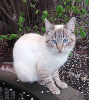 Доброе утро, Кубань!. Краснодар -2…+9 °С