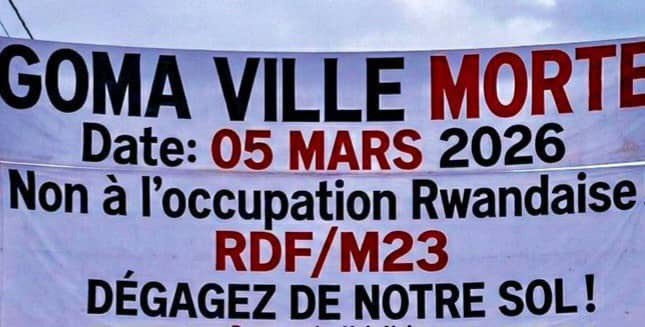 Подобное лечат подобным. Ответный нейро-удар по боевикам в ДР Конго