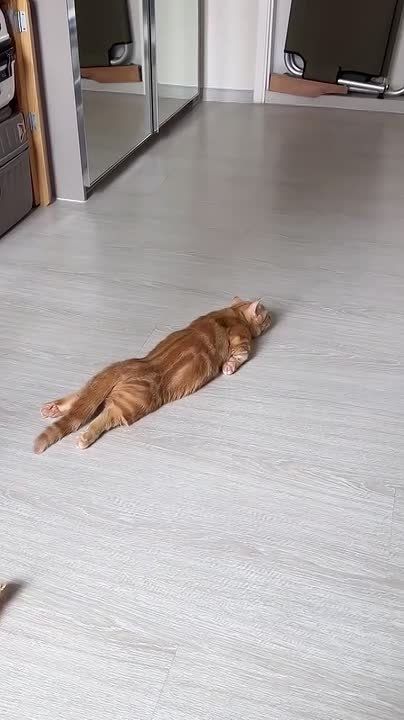 ����� �������� �� ������, � ����� ��������, ��� ��������