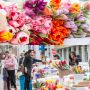 27 цветочных ярмарок откроются в Анапе в преддверии Международного женского дня