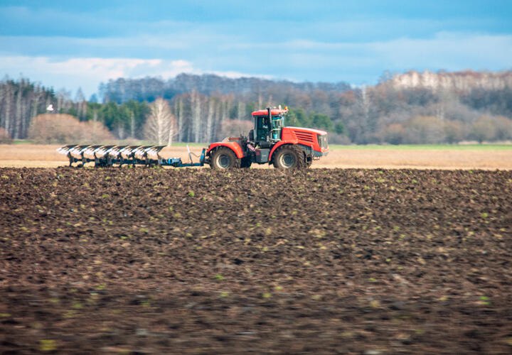 В Краснодарском крае с 1 марта начали действовать изменения в региональном законе о сохранении плодородия сельскохозяйственных земель